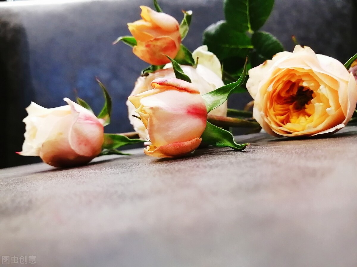 没有梦想的人生是不完整的,没有梦想的人生是平庸的问题