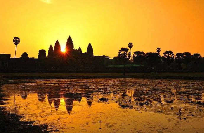 入境欧美不允许带什么物品,入境泰国什么东西不能带