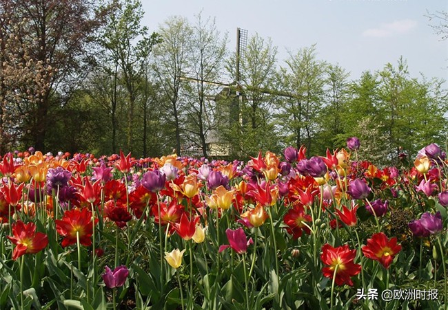英国最失望十大景点,英国最让人失望的景点