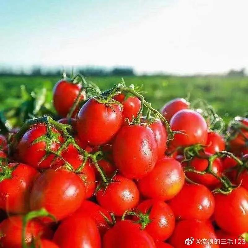 好看的国货护肤品,好吃的国货良心推荐