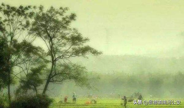 沾衣欲湿杏花雨古诗背诵,沾衣欲湿的古诗