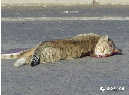 结构设计师真实感受,做了一辈子结构设计