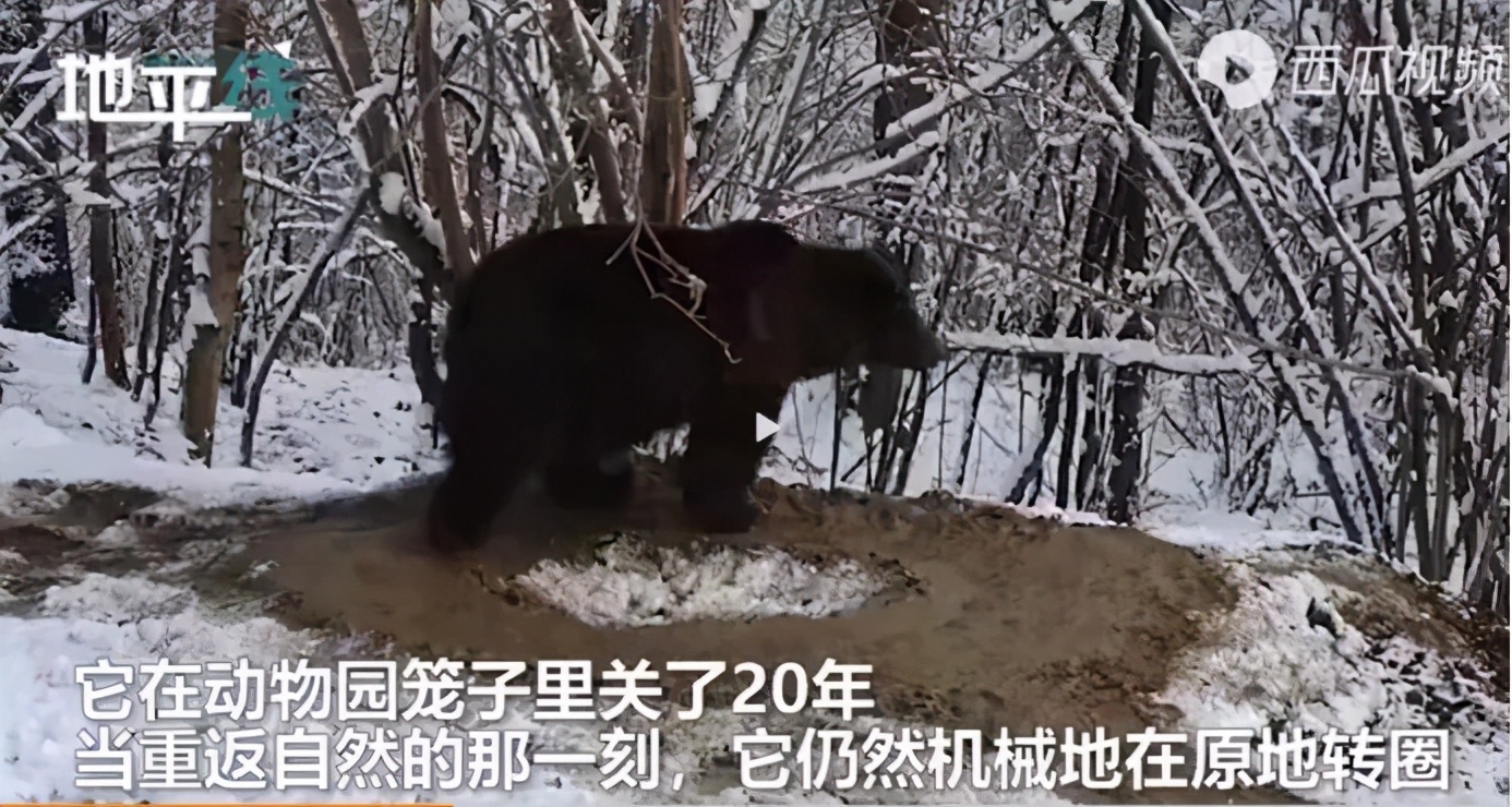 女生只要足够坏就能遇到好男生,只要女人足够坏就能遇见好男人