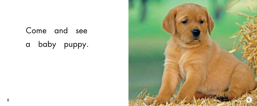 儿童绘本小动物睡前故事,动物宝宝有声绘本推荐0-3岁读绘本