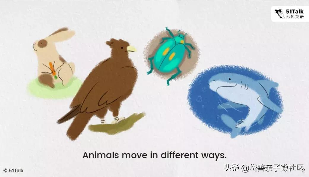 英语绘本howdoyougotoschool,英语绘本故事move