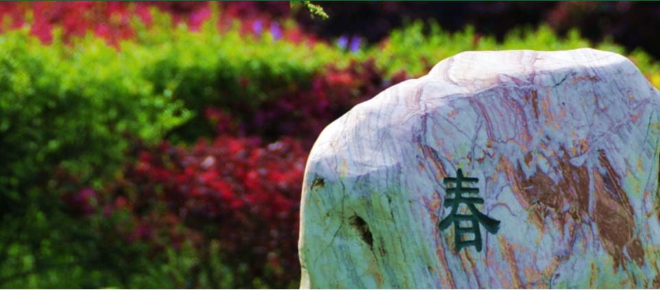 武汉最不该改名的大学,湖北省2025有望改名的大学