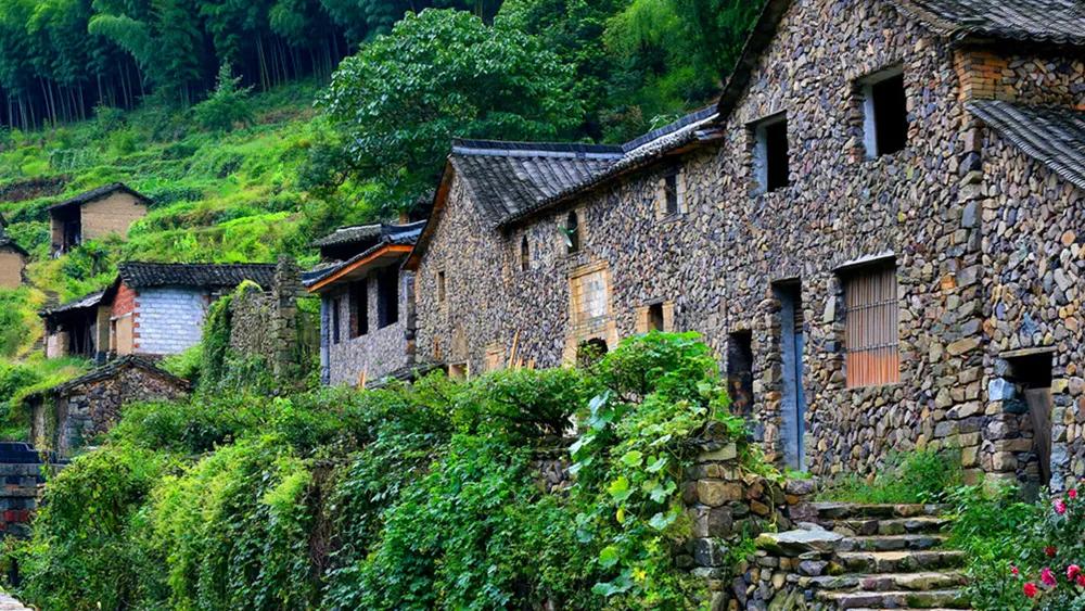 银杏古道自驾游攻略,江浙沪绝美古道苏州