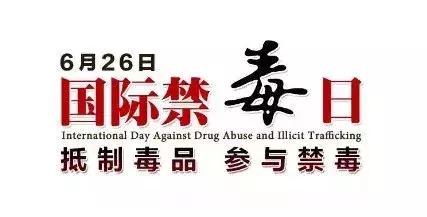 世界禁毒日相关视频 (国际禁毒日结局)
