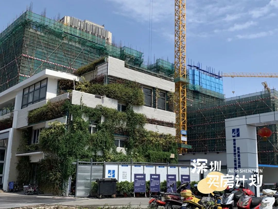 撸完宝安18个新盘!打地鼠式打新来了,你准备pick谁?