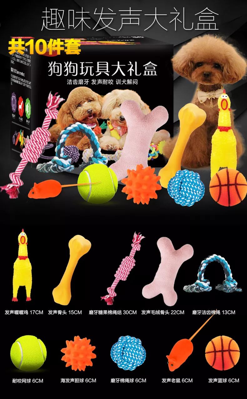 猫狗双全必备清单,猫狗主子的日常