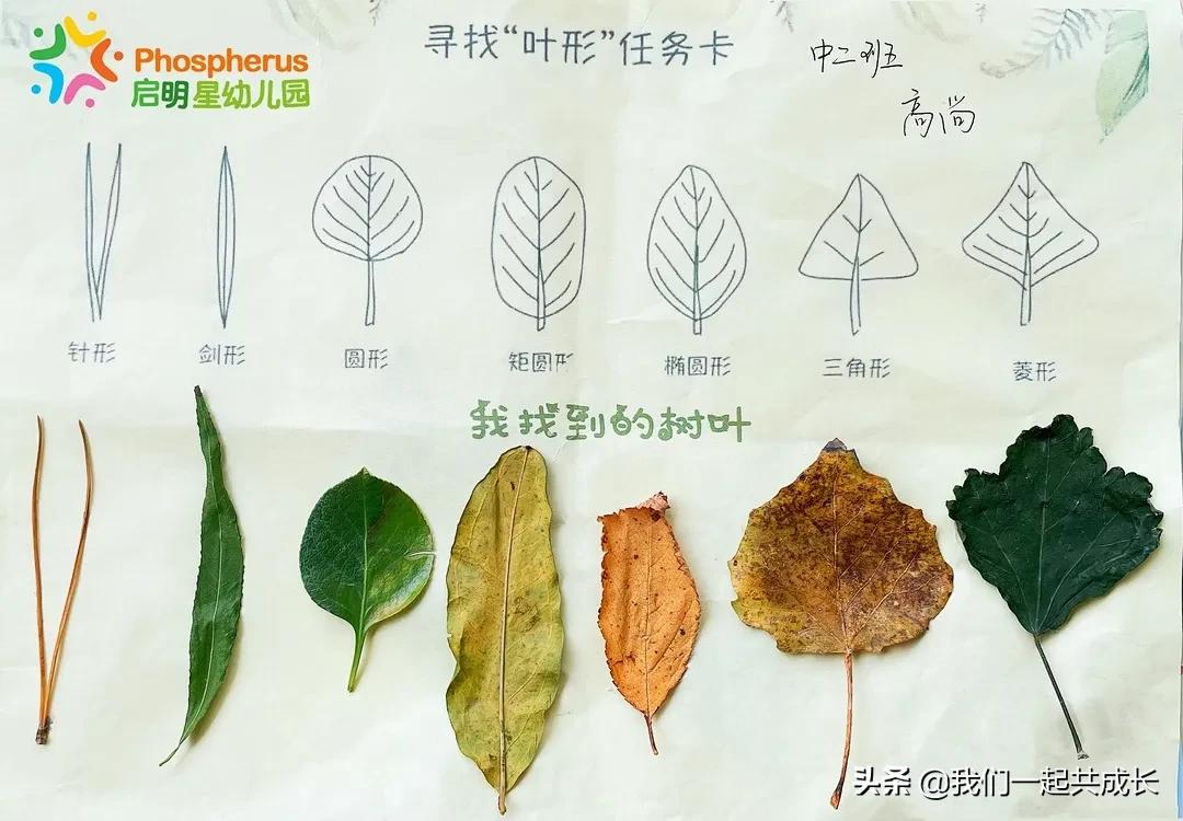 寻一抹秋色，遇一片美好：济南市启明星幼儿园的秋之美