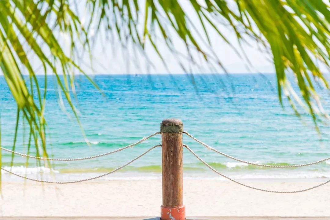 深圳10大旅游好去处,深圳盐田区周末休闲浪漫好去处