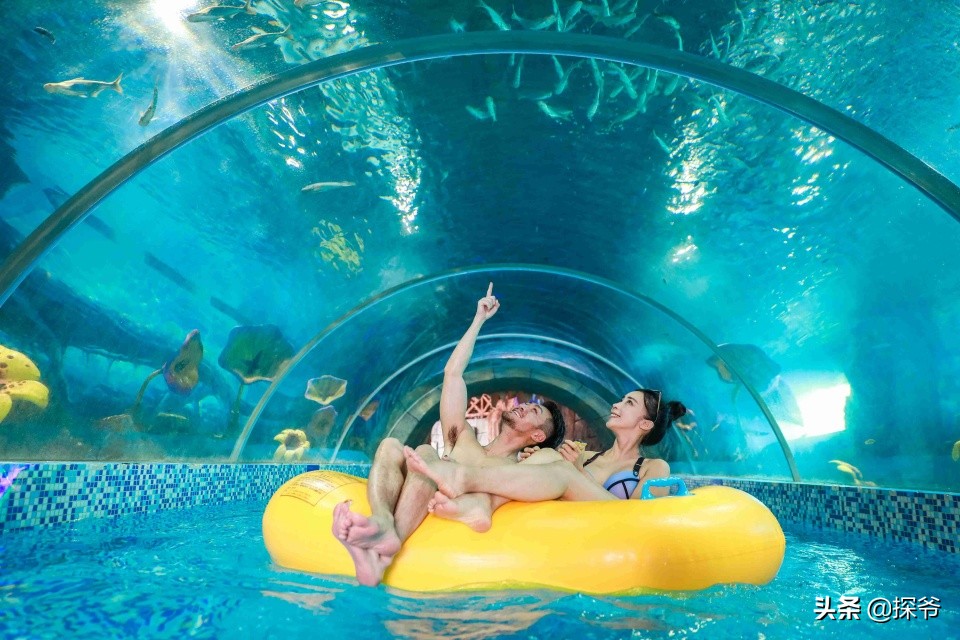 重庆汉海鲸豚湾水世界开园时间,重庆汉海海洋公园门票优惠政策