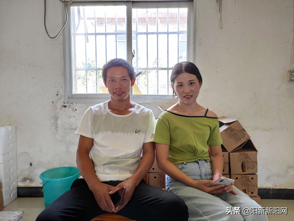 阳新县新闻,湖北鄂州阳新新闻