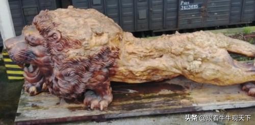 东方雄狮出售价格,300万不卖的雄狮根雕