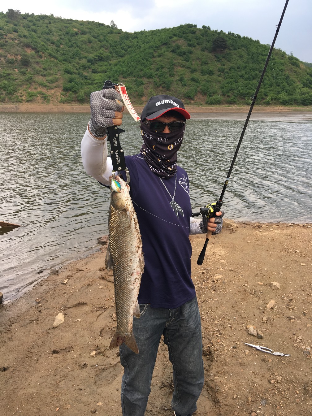 很惬意的路亚钓鱼,房车路亚野钓