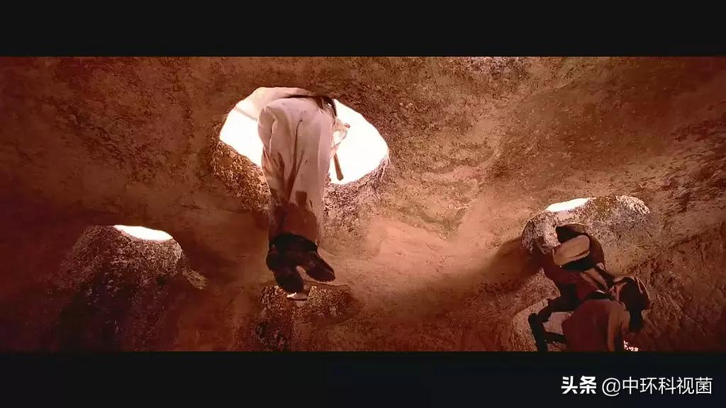 推荐10部残酷又惨烈的战斗电影,推荐几部战斗场面震撼的电影