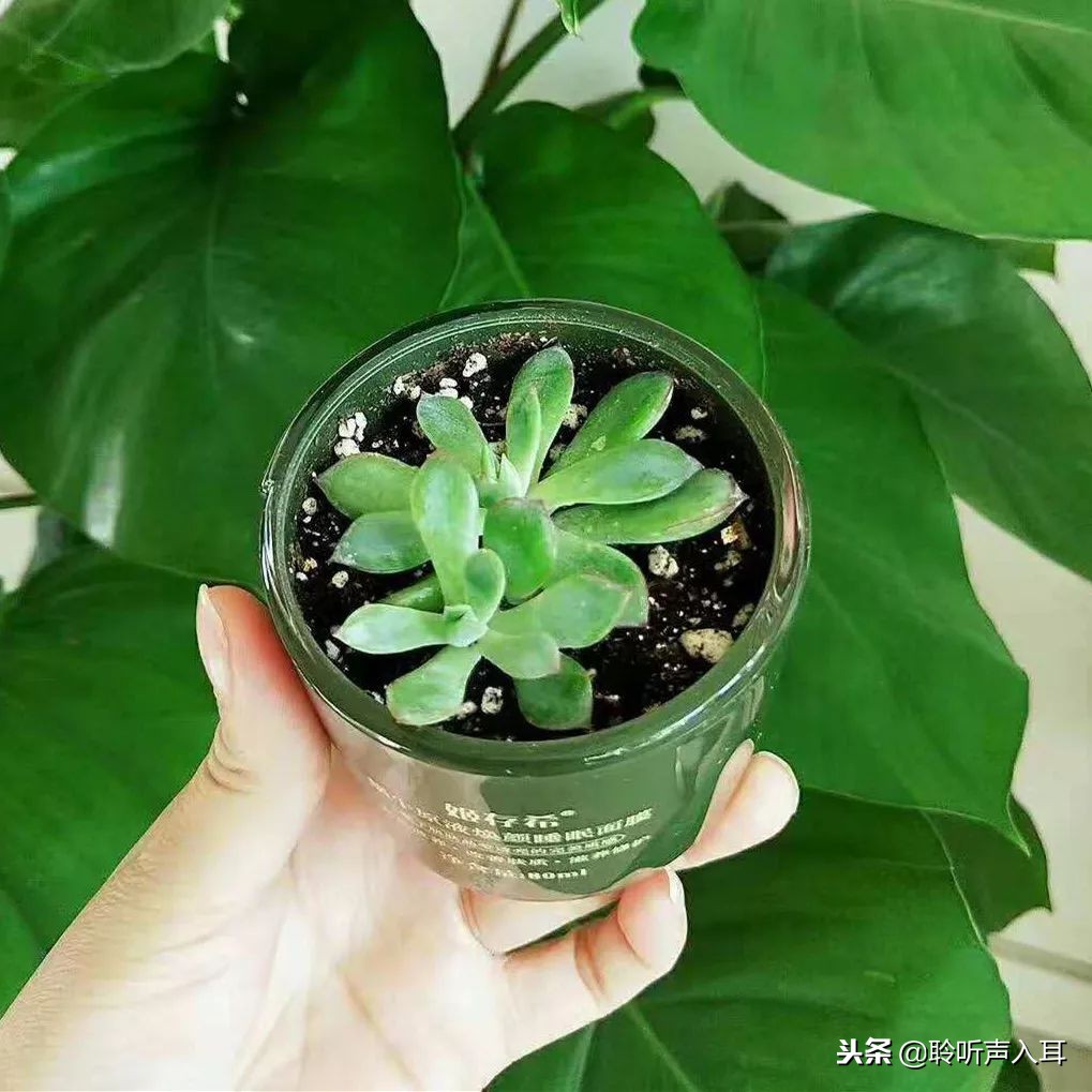 保护护肤,如何保护专柜护肤品套盒不脏