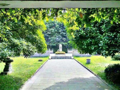 石室中学有什么好的,石室中学的缺点