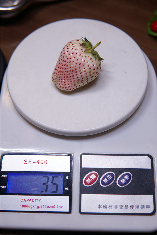 如何在网上买到真草莓,怎么在网上买正宗丹东草莓