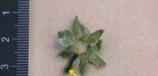 可怕：医生囚禁女子X虐，无奈却败给了智商......