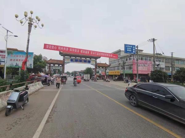 河南邓州惊现飞虫集聚,被传为“涨水蛾”,它们的出现意味什么?