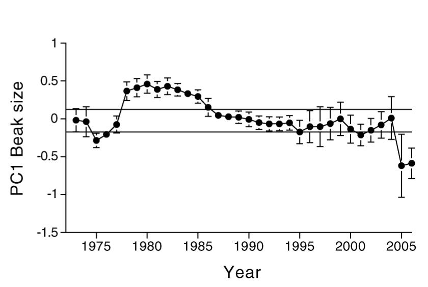 神秘的失落岛屿,失落的岛屿奇怪事