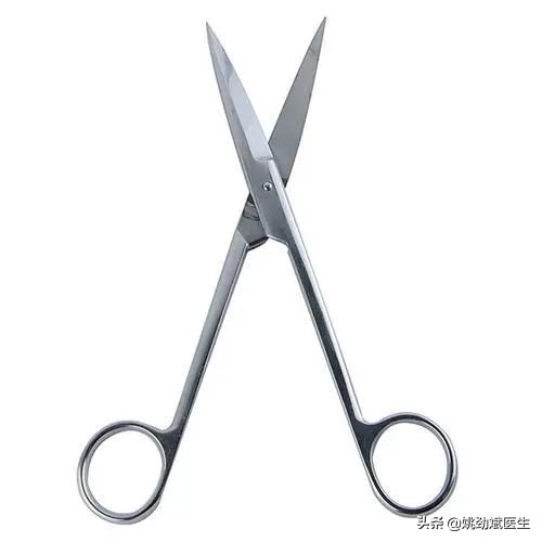 认识肉桂树,认识肉食性恐龙