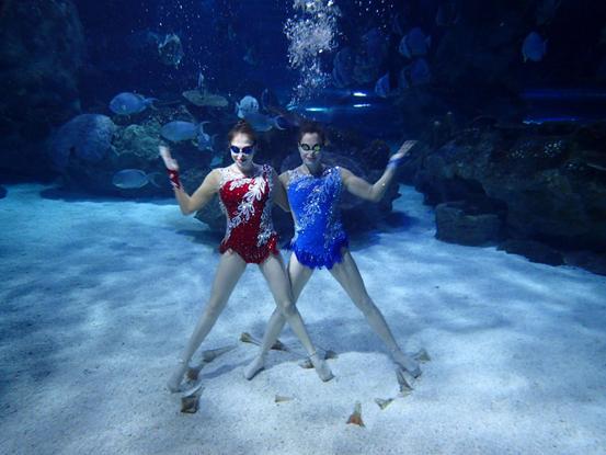 北京老牌水族馆富国海底世界，49.9元1大1小探险蓝色海洋的秘密