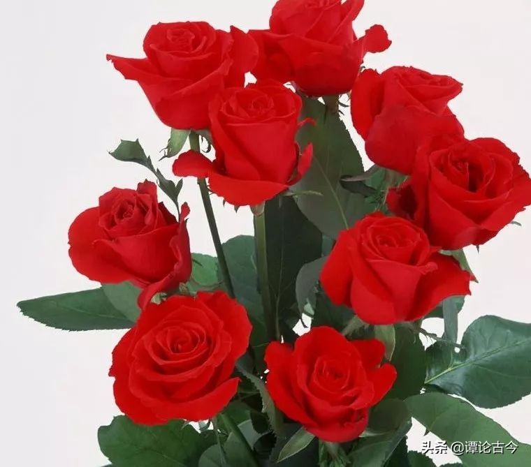 舌尖上的浪漫爱情,舌尖上的爱情对唱版