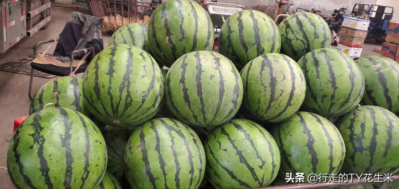 山西太原果蔬市场批发价格 (太原河西果蔬批发市场)