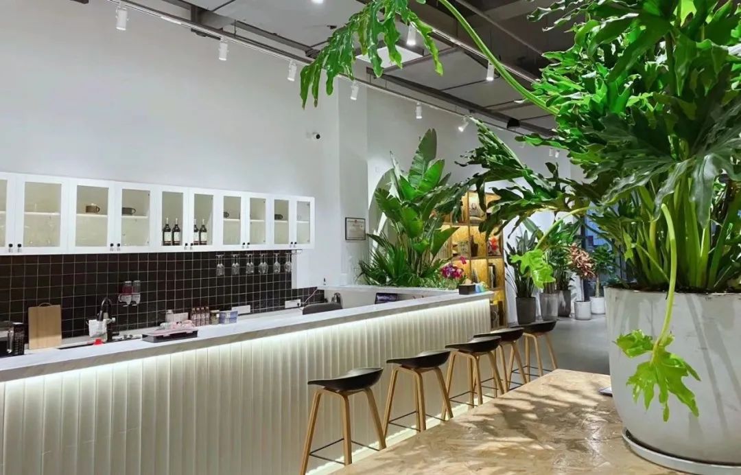 江阴新桥最美庭院,江苏江阴阳台风景