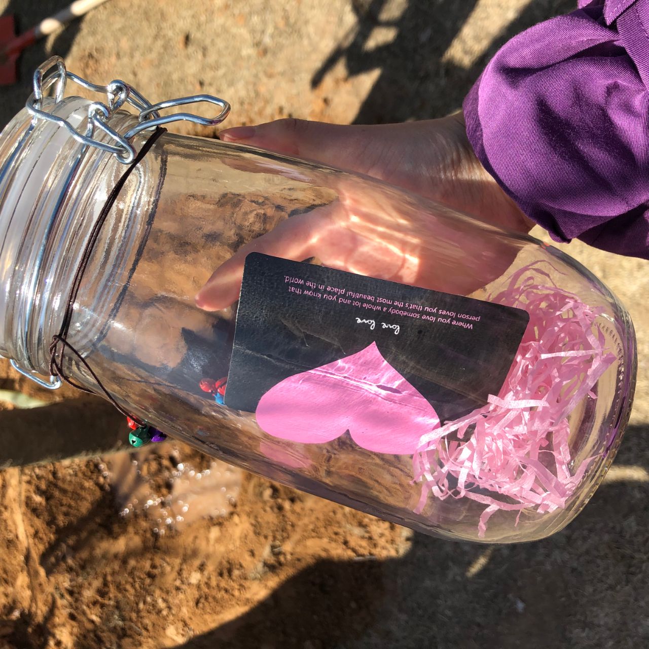 青龙古镇樱花树种植,西山公园种植樱花树