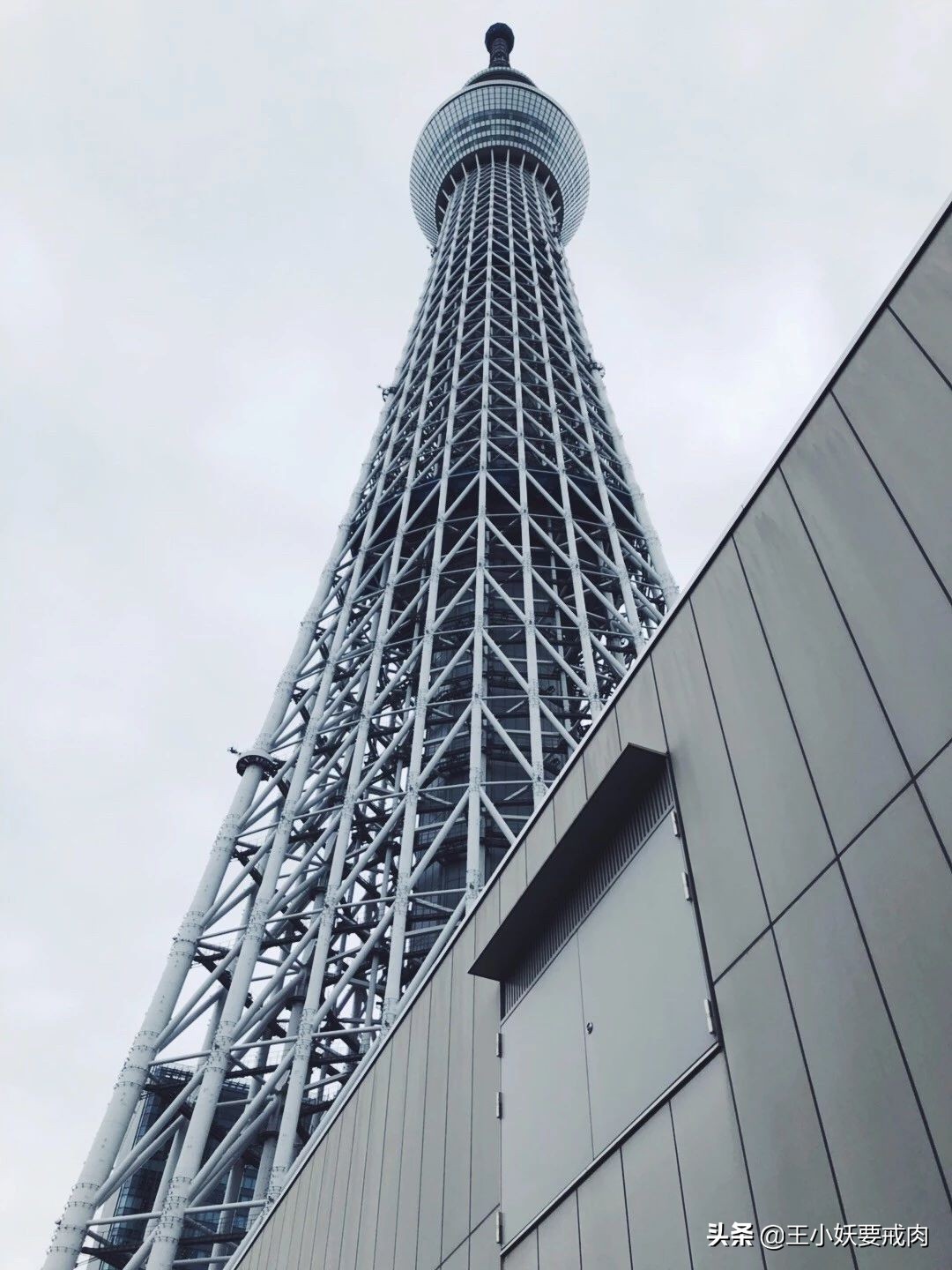 日本自由行攻略7天旅游,日本自由行攻略十大必去景点