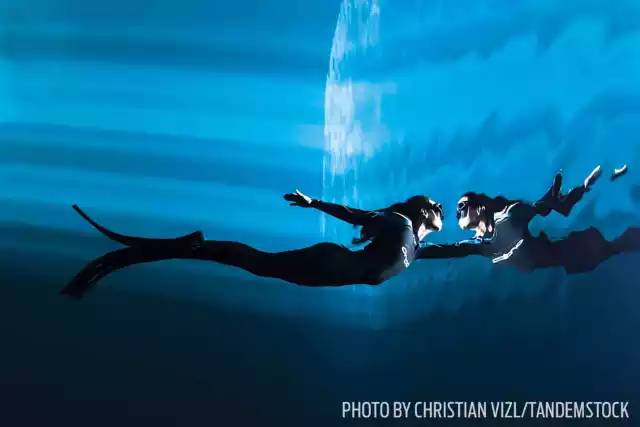 自由潜水怎么玩,潜水20个基本技巧