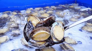 被低估的海边旅游城,被低估的海边