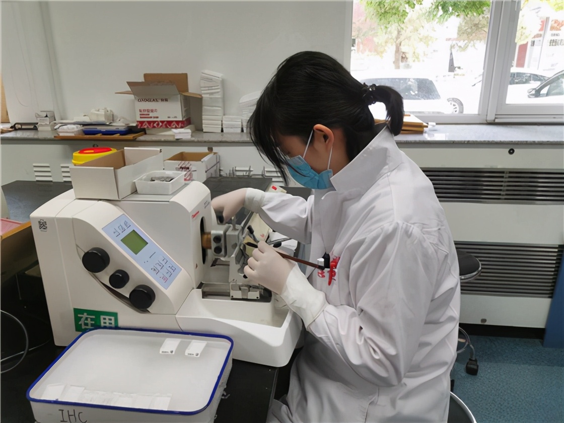 病理讲解视频全集,病理学讲解详细视频