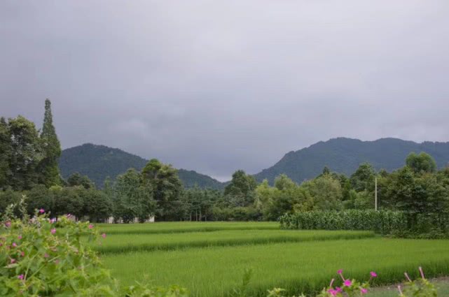 飞来峰为什么是四川飞来的,四川飞来峰在哪里
