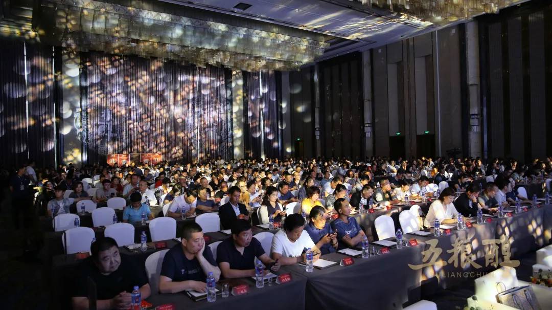 五粮醇新品发布会,五粮醇升级战略分享会