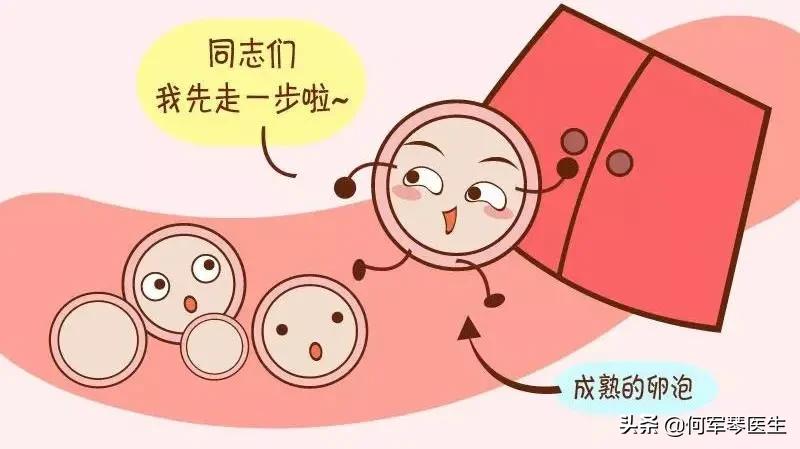 amh为什么每次结果不一样,amh为什么会越来越高