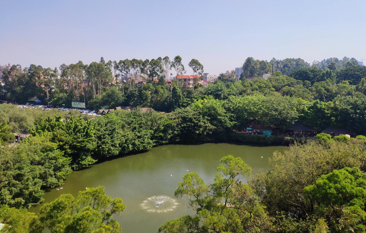 长隆野生动物园的缆车有多久时间,广州长隆野生动物园门票含缆车么