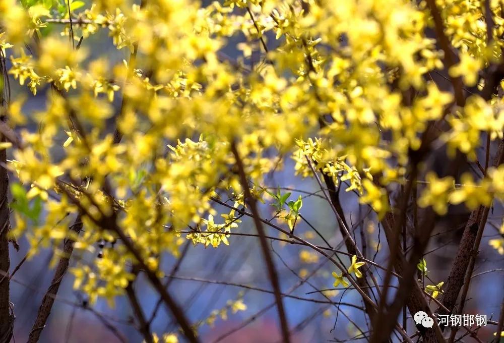 娌抽挗閭挗閾佽矾,娌抽挗閭挗楂樼倝