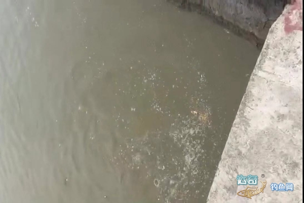 鱼甩籽怎么夜钓,鱼的甩籽期如何垂钓