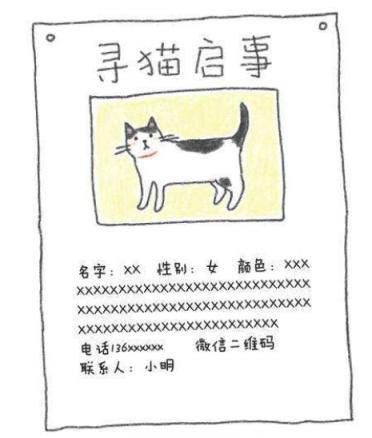 猫咪走失最有效的方法,猫咪走丢1周怎么寻回