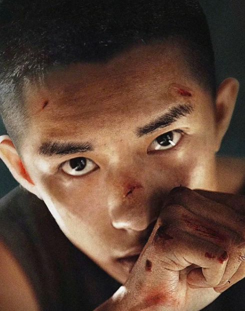 2019口碑票房双丰收五部电影,口碑票房双丰收的四部电影