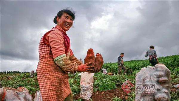 云南嵩明县未来发展规划,昆明滇中新区嵩明县发展新信息