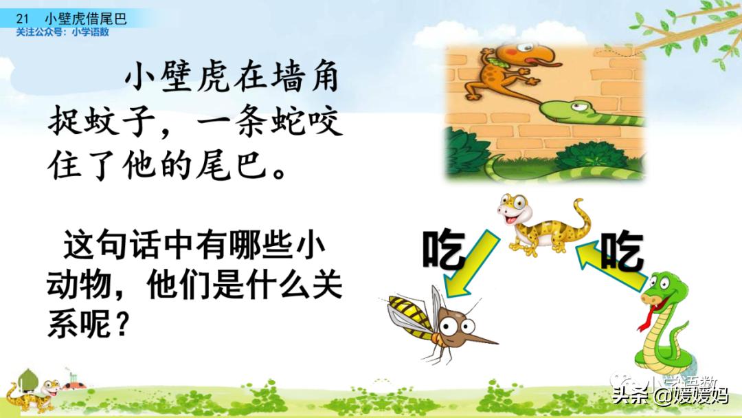 一年级小壁虎借尾巴原文图片,小壁虎借尾巴优质课一等奖