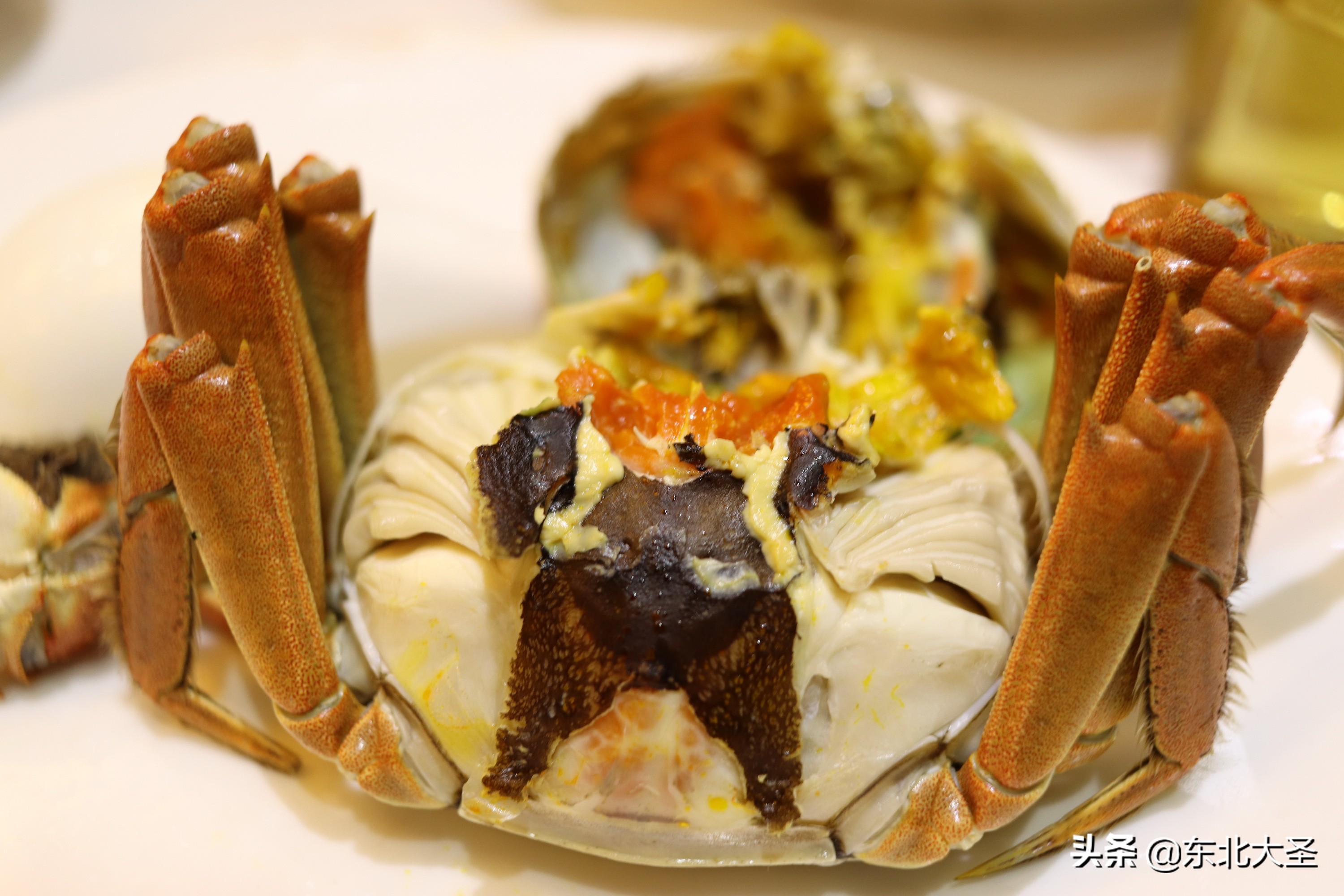 苏州杭州上海乌镇六日游含迪士尼,西湖乌镇南浔西塘三日游