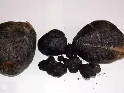 禁毒拒毒知识,十大禁毒知识大全