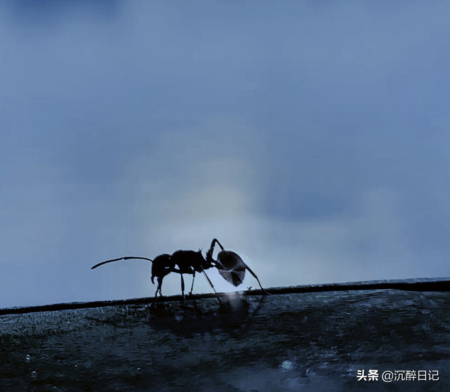 儿子用他的马大哈，来了一次实力坑爹